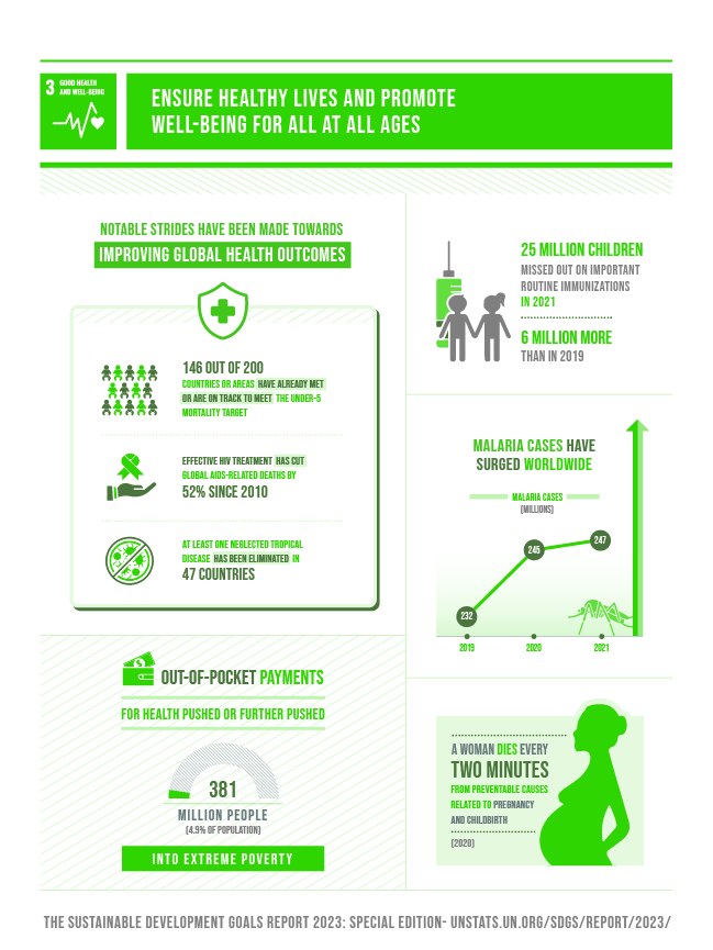 Goal 3 Department of Economic and Social Affairs